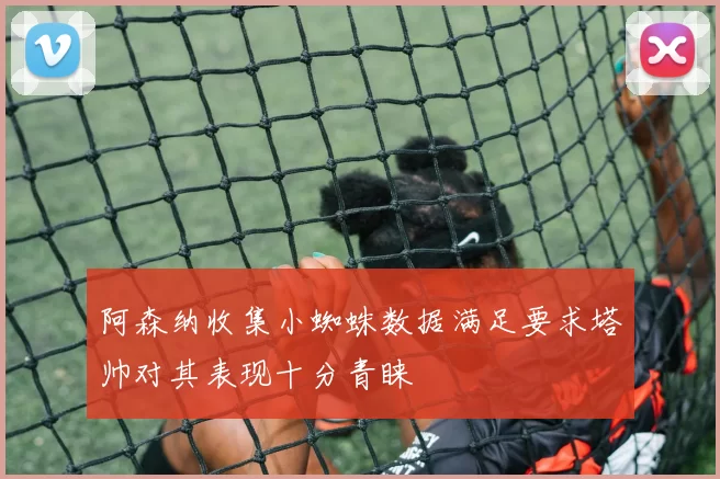 阿森纳收集小蜘蛛数据满足要求塔帅对其表现十分青睐